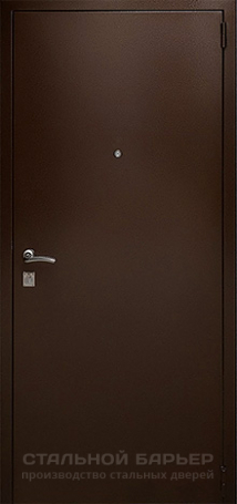 Дверь с зеркалом №2